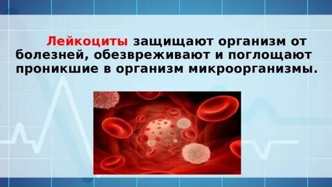 Какая ткань защищает организм