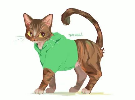 Кот дрим от