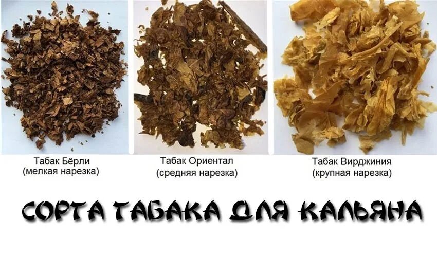 Как определить крепость табака