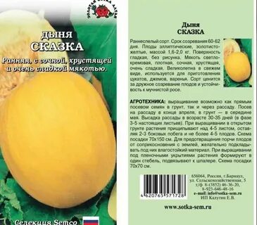 Дыня сказка описание сорта