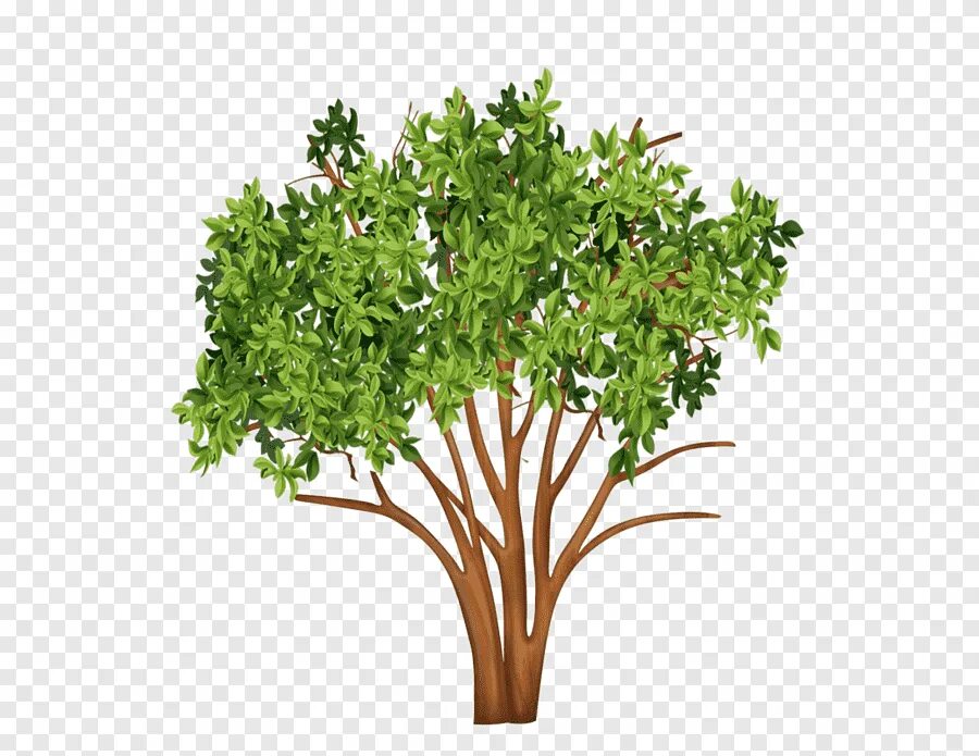 Create tree. Кусты мультяшные. Дерево и кустик. Ветка куста. Куст вектор.