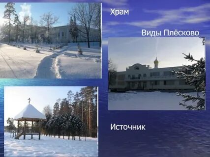 Плесково журнал