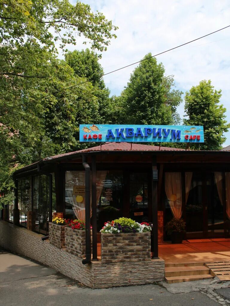 кафе гурман туапсе. кафе аквариум на улице туапсинская в сочи. кафе аквариум сочи туапсинская меню. кафе аквариум сочи туапсинская. туапсе кафе пальмира.