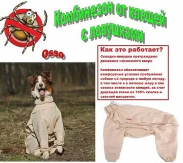Какая защита от клещей