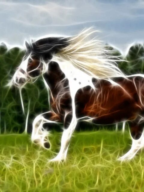 Телефон хорс. С днём рождения другу с изображением коня. Картины лошади осенью. Картинки лошадей на обложку ВК. Поздравления с днём рождения с лошадьми картинки.