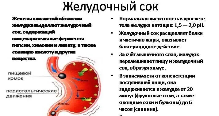 Выделение желудочного сока. Пэ аш желудочного сока. какая среда желудочного сока. ph желудка. рн среда желудочного сока.