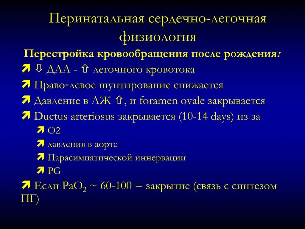 Особенности легочного кровообращения. Перестройка кровообращения после рождения. Перестройка гемодинамики после рождения. Перестройка кровообращения после рождения механизмы. Перестройка кровообращения плода после рождения..