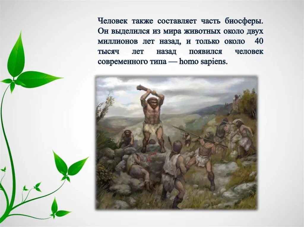 Рисунок человек часть биосферы. С какого момента человек выделился из остальной природы.