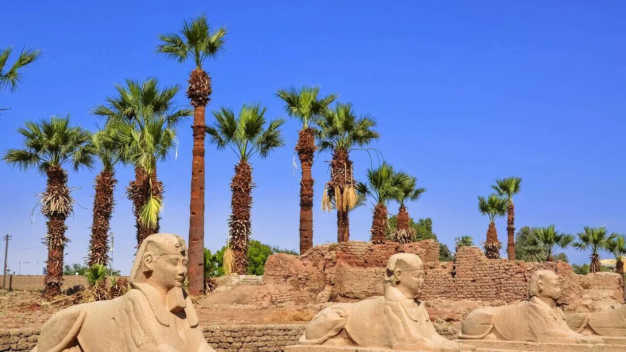 Египет дешевый отдых. Шарм-эш-шейх. Египет дешевый отдых. Египет на майские. Египет.