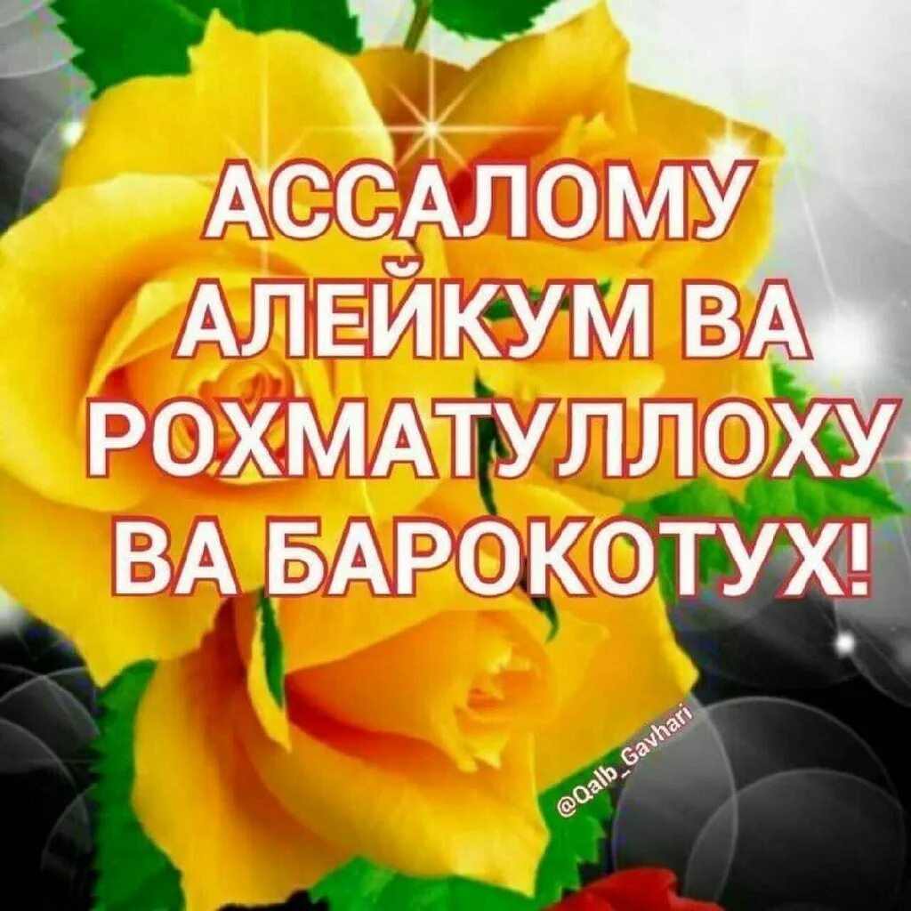 Ас саляму алейкум ва рахматуллах. Хайрли кун. ассалам алейкум. ассаламу алейкум картинки. доброе утро. хайрли тонг.