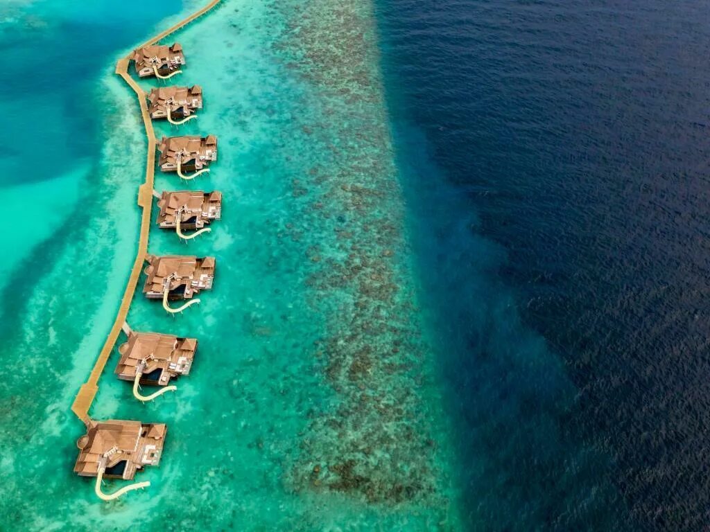 Остров Болифуши Мальдивы. Ozen Reserve Мальдивы. Ozen Reserve Bolifushi 5 Мальдивы. Jumeirah Vittaveli Maldives. Мальдивы на неделю на двоих