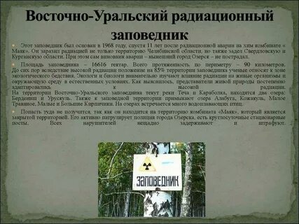 Восточно уральский