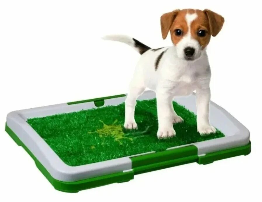 лоток с травой для собак мелких пород. туалет для собак мелких и средних пород с травкой potty patch. туалеты для собак с травкой. лоток для собак с естественной травой. туалет для собак pet potty.