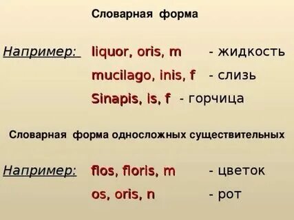 Правильная словарная форма существительного