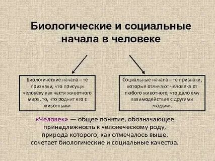 К социальным чертам человека относятся