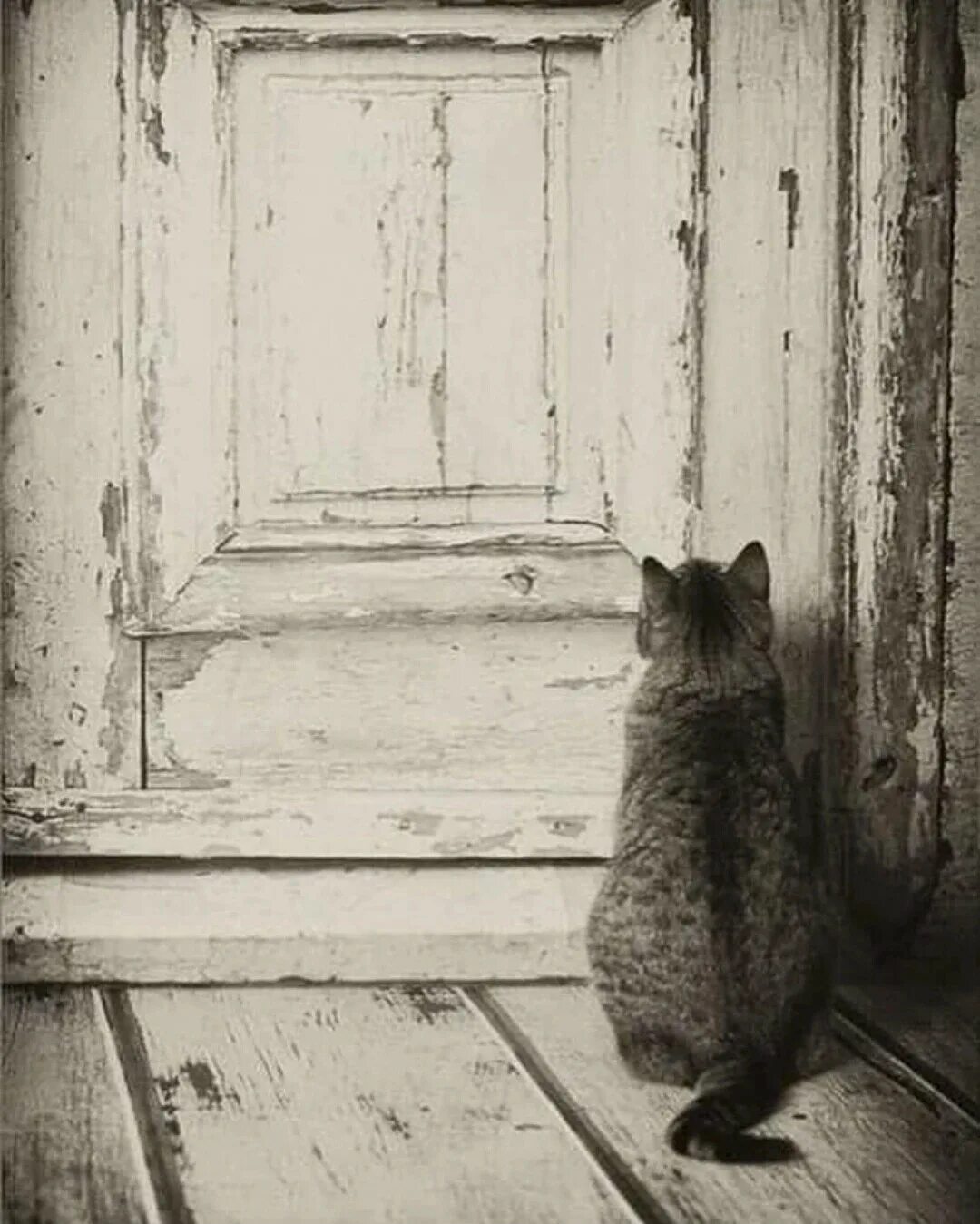И у двери стою и жду