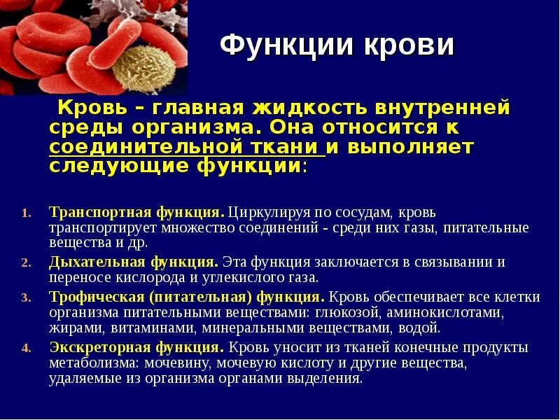 Кровь краткое содержание. Кровь ее состав и функции. Состав и функции крови кратко. Кровь состав и функции крови. Состав и функции крови сообщение.