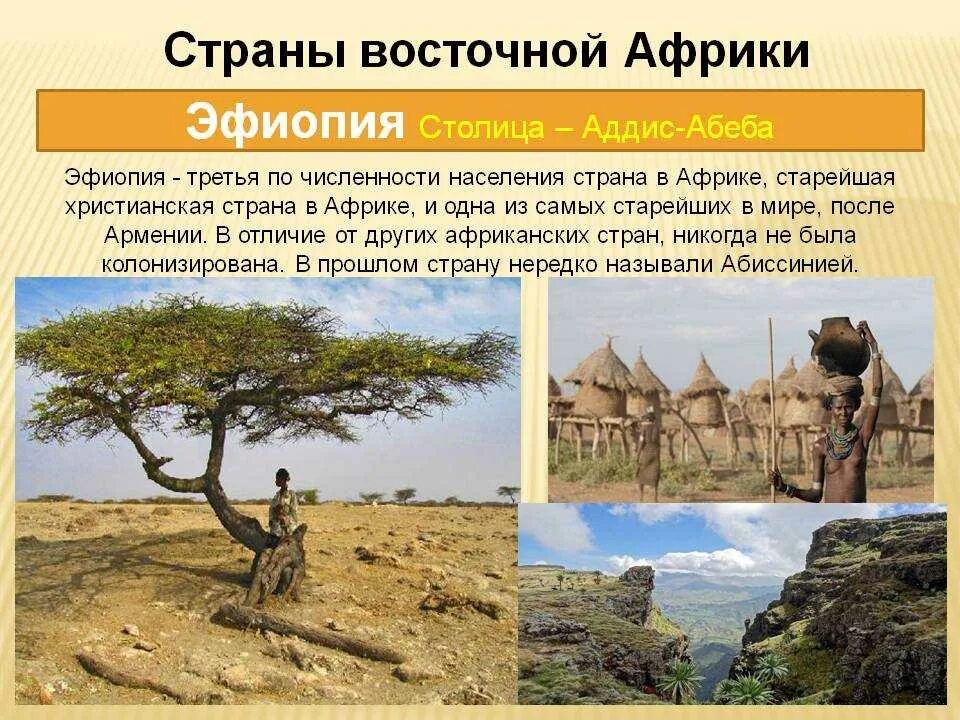Эфиопия к какой структуре экономики относят