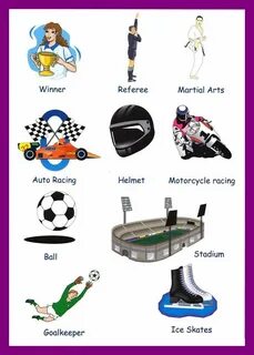 Sport vocabulary