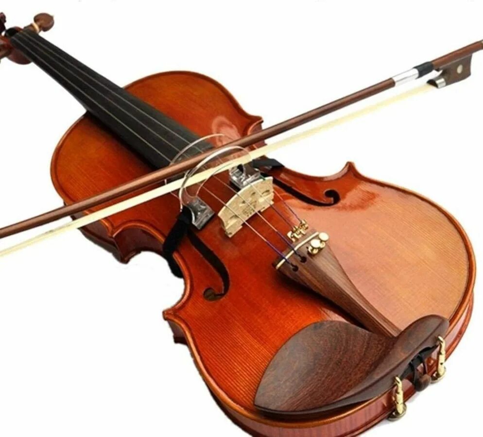 Музыкальный инструмент 2 струны и смычок. Смычок Драгонетти. Смычок для скрипки. Смычок для виолончели.