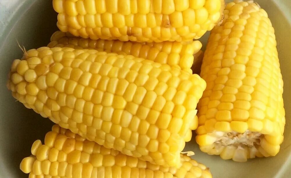 Кукуруза доле. Вареная кукуруза. Кукуруза кормовая вареная. Кукуруза в мультиварке. Кукуруза в початках 1шт.