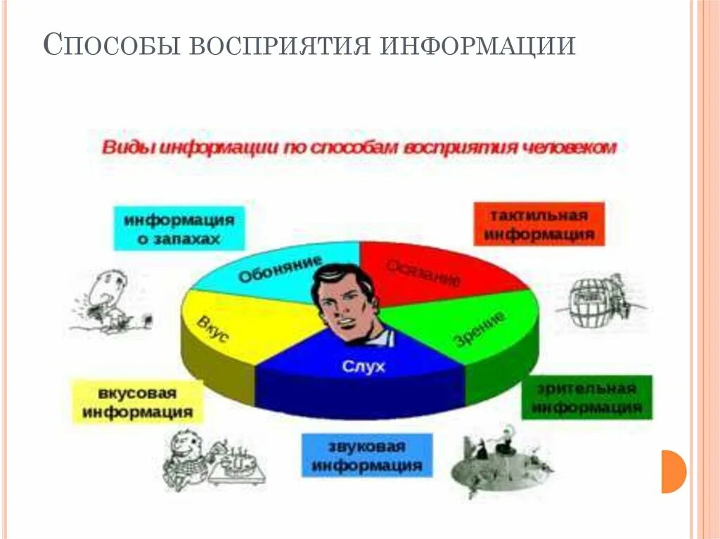 Дайте определение восприятия информации. Способы восприятия информации. Схема восприятия информации. Восприятие информации в информатике. Виды восприятия информации человеком.