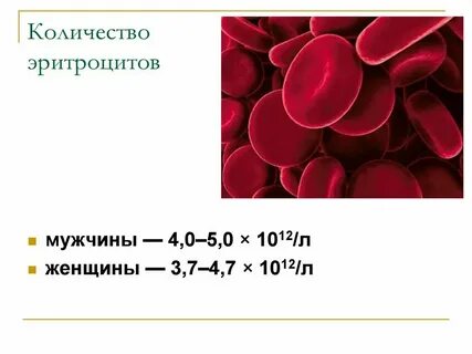 Какое количество клеток у человека