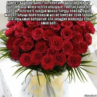 Туулган кунго куттуктоо