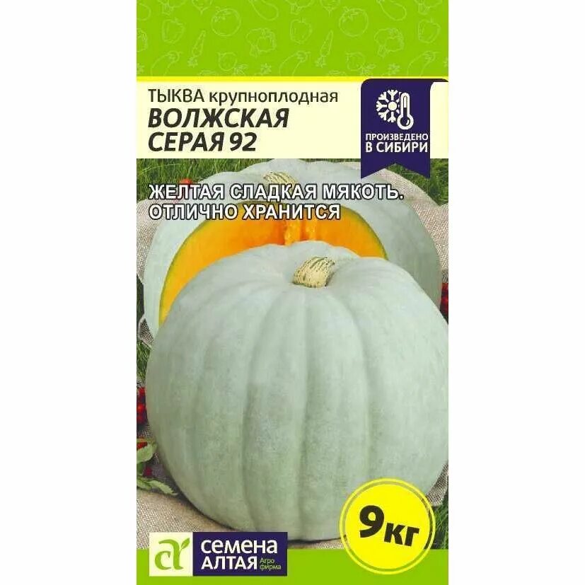 Сорта тыква волжская серая 92. Тыква волжская серая 92. Тыква сорт серая волжская. Тыква крупноплодная волжская серая. Тыква крупноплодная волжская серая.