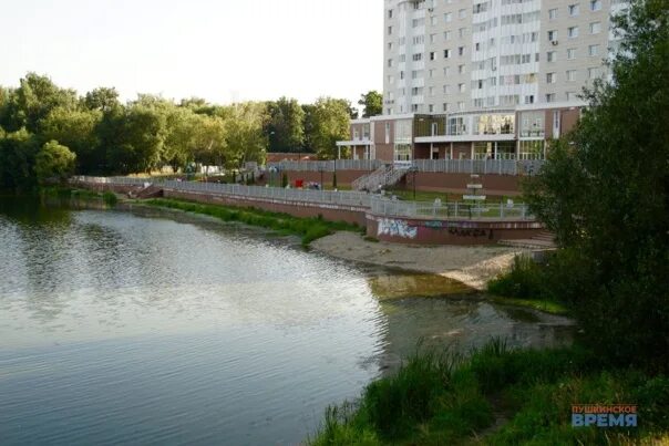 пляж пушкино.