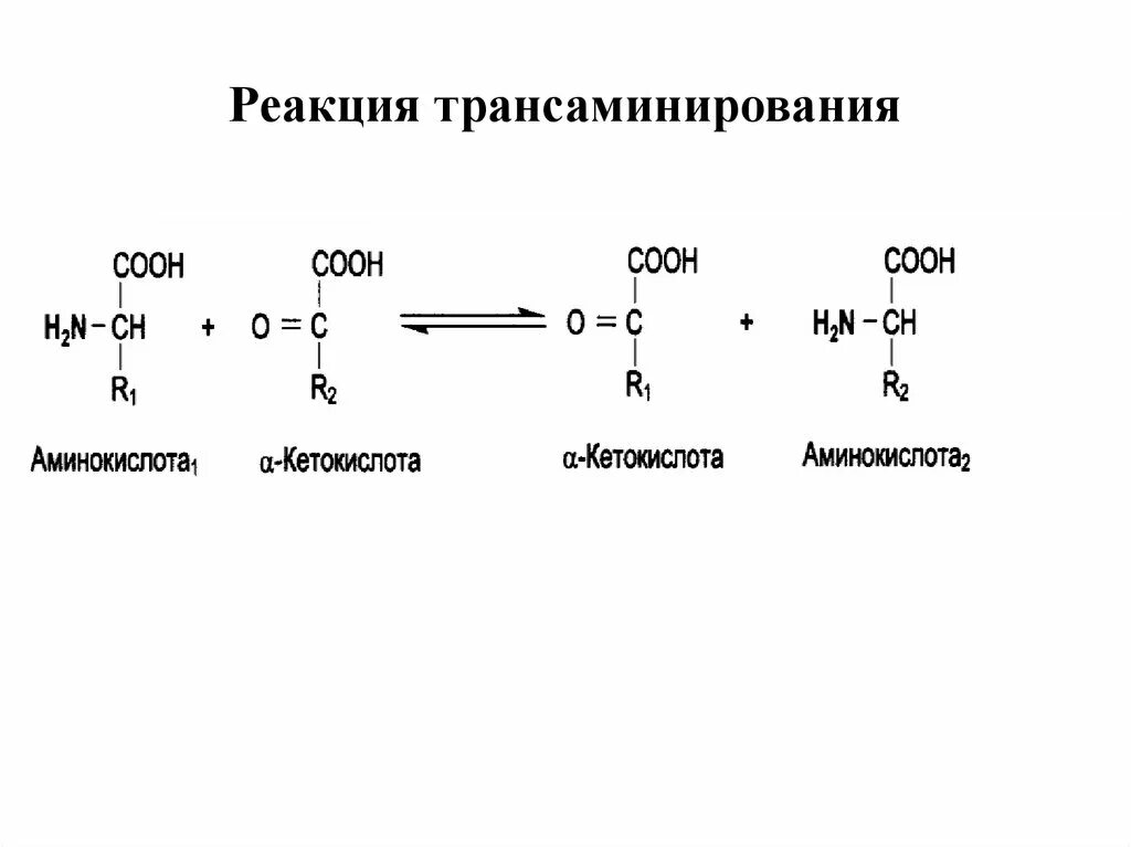 Механизм реакции трансаминирования аминокислот. Общая схема реакции трансаминирования аминокислот. Реакция трансаминирования аминокислот. Реакции трансаминирования Альфа-аланина.