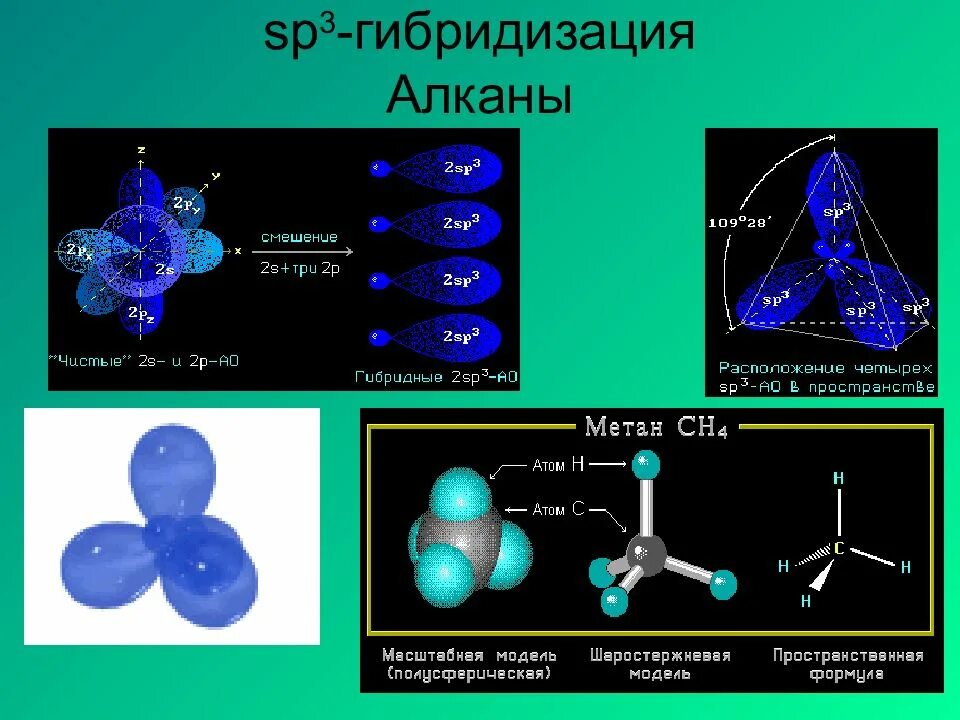 SP sp2 sp3 гибридизация органика. Гибридизация орбиталей sp3. Sp2 и sp3 гибридизация углерода. Вещества с sp2 и sp3 гибридизацией. Алканы sp3