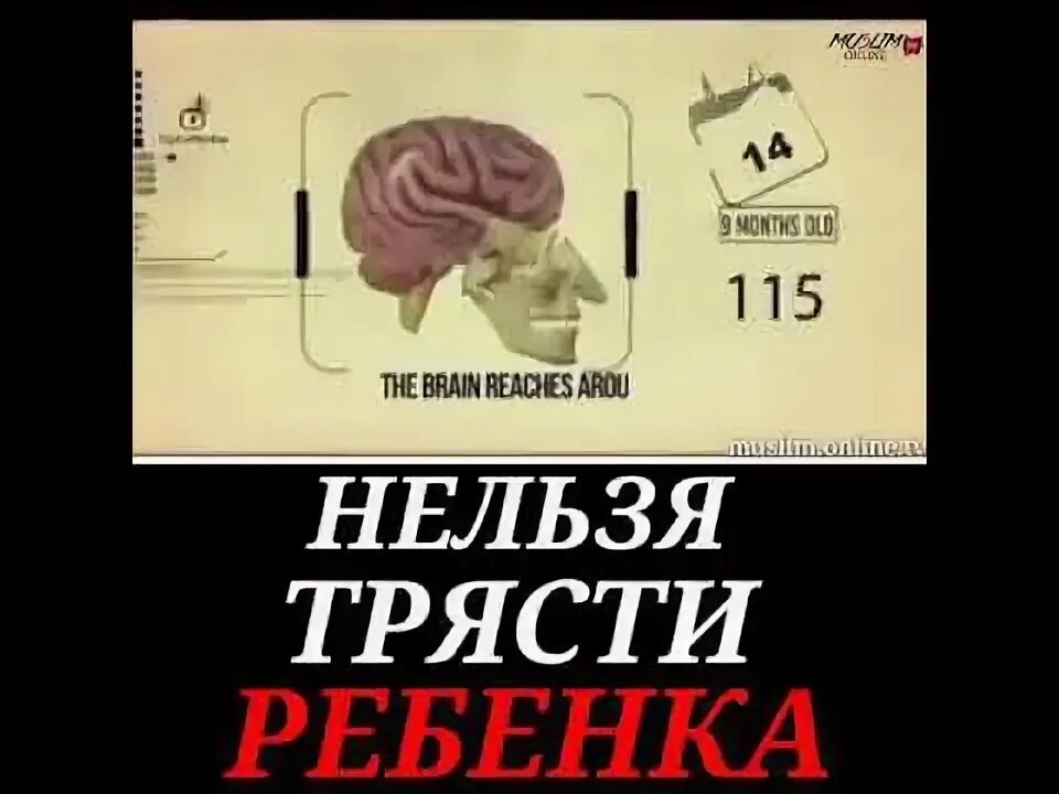 Синдром тряски младенца. Нельзя трясти новорожденного. почему нельзя трясти младенца. почему нельзя трясти ребенка до года. почему нельзя трясти детей до 2 лет.