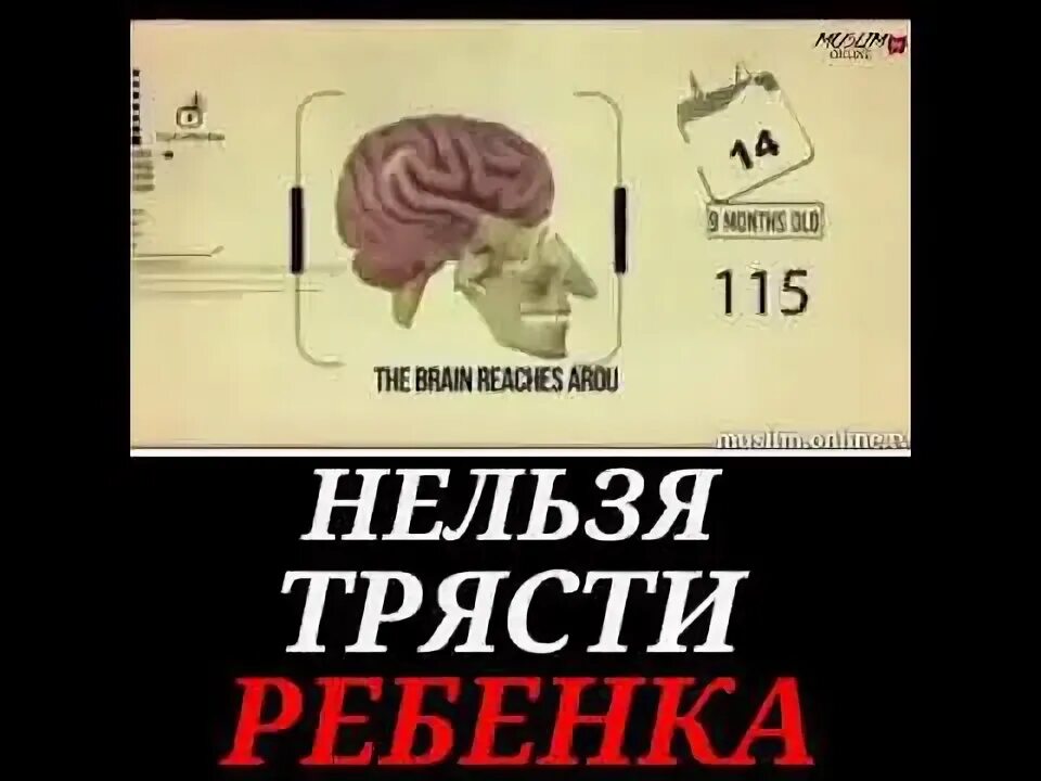 Почему нельзя трясти. Почему нельзя трясти ребенка. Почему нельзя трясти ребенка до года. Почему нельзя трясти маленького ребенка. Почему нельзя трясти ребенка до 2 лет.