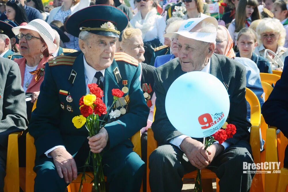Живите долго ветераны песня. Ветераны Бреста. Живите долго ветераны. Фото ветеранов в Бресте. Сколько ветеранов осталось в Таджикистане войны 1941.