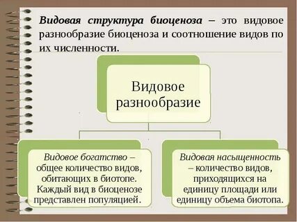 Видовая структура биоценоза