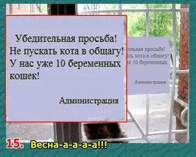 Плохо ли не