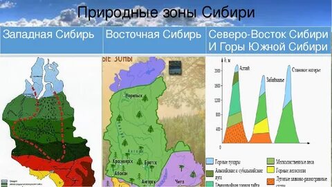 Восточная сибирь план описания