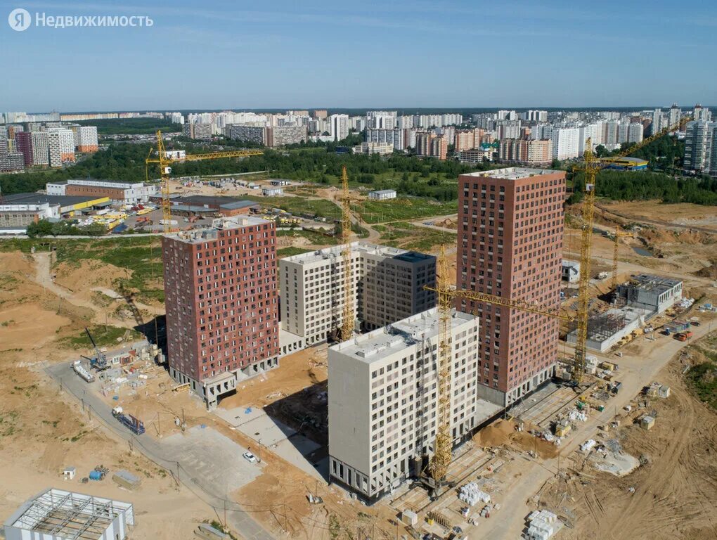 зеленый парк пик зеленоград. гринпарк москва пик ботанический сад. зеленый парк застройщик. Green park ботанический сад пик. пик березовая аллея грин парк.