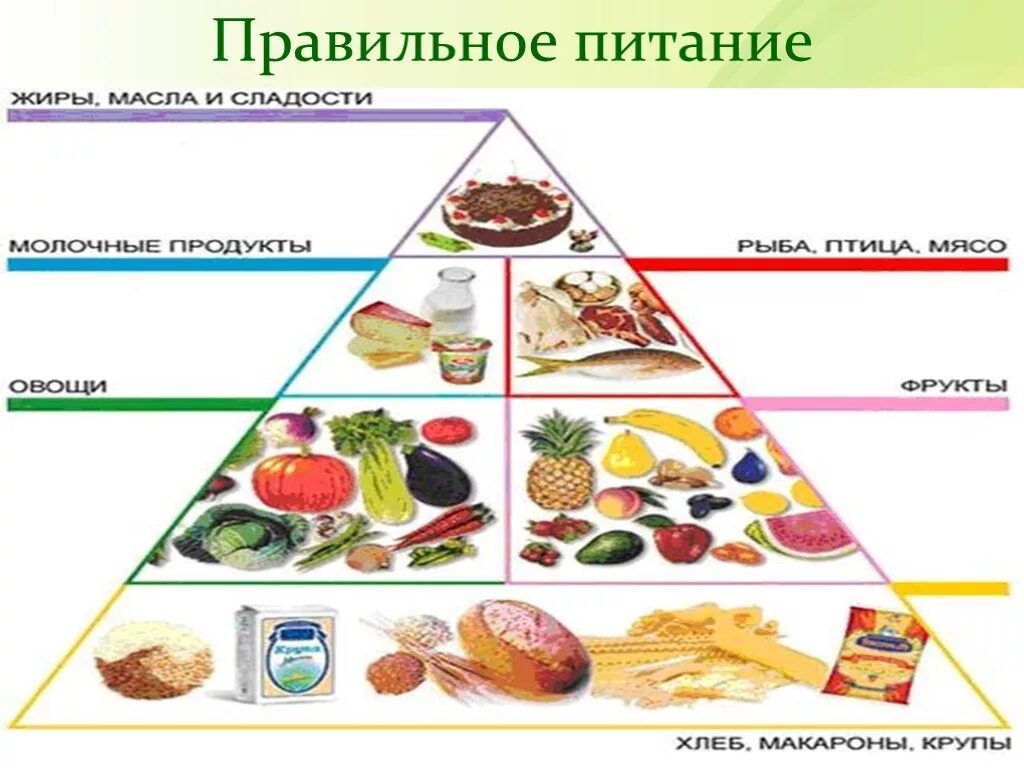 Основы здоровья питания. Правильное рациональное питание. Основы рационального питания. Основы рационального здорового питания. Правильное питание для здорового образа жизни.