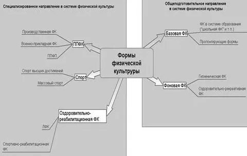 Основные направления физического образования