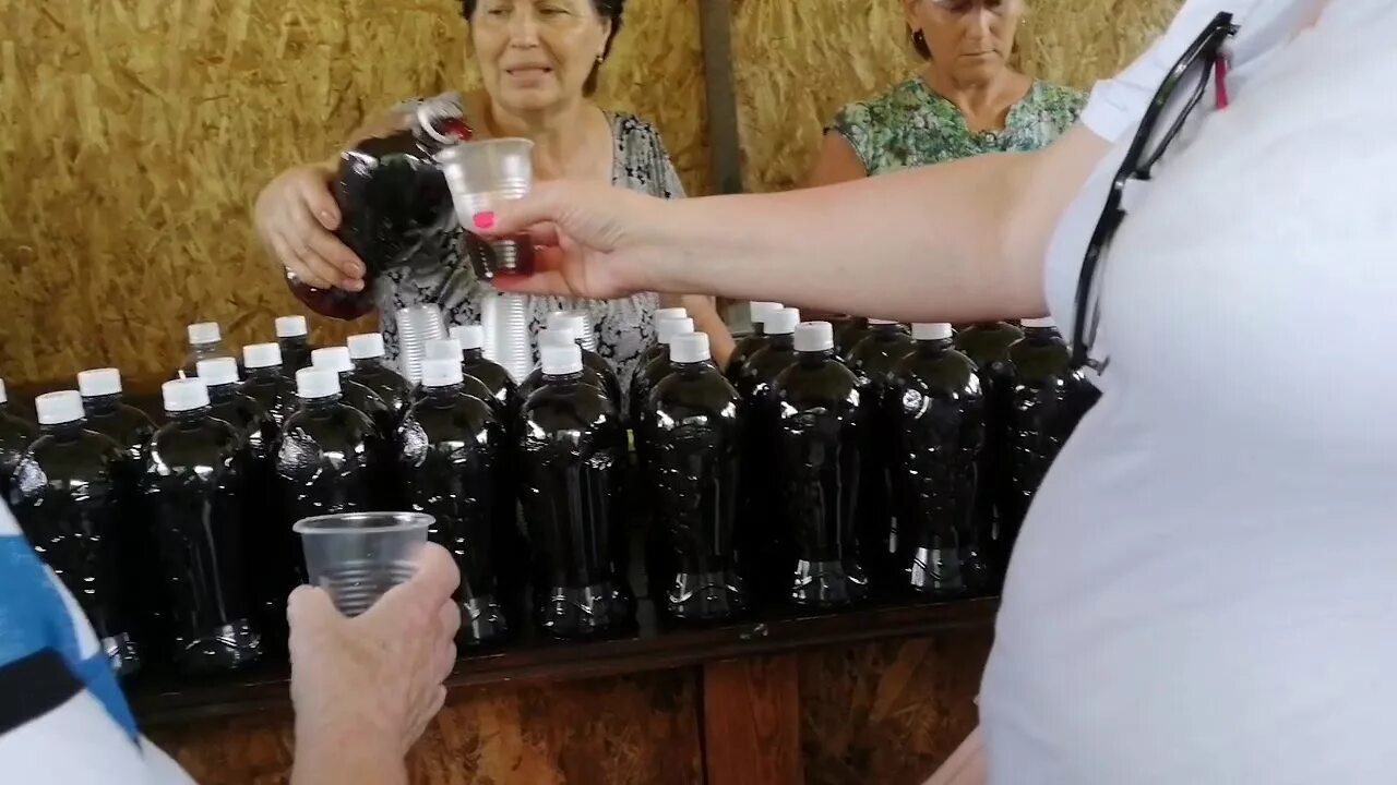Домашнее вина абхазии. Винная дегустация абхазия. винный завод в абхазии. завод вино абхазия. вино гудаута абхазия.