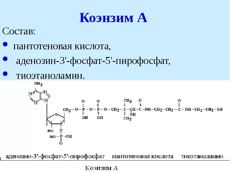 Пантотеновая структура коэнзима а. КОА формула биохимия. Пантотеновая кислота формула кофермента. Строение кофермента КОА. В составе 3 активных
