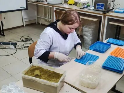 Производство академия