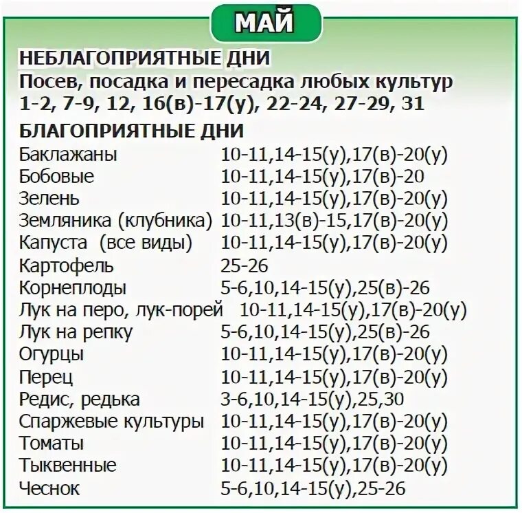 Календарь посадки посева на январь 2025 Самое важно о выращивании рассады в вопросах и подробных на них ответах: ошибки