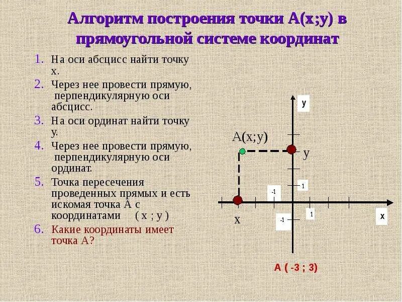 Перпендикулярные прямые на оси координат. Ось на координатной прямой. Точка на оси ординат. Прямая перпендикулярная оси абсцисс.