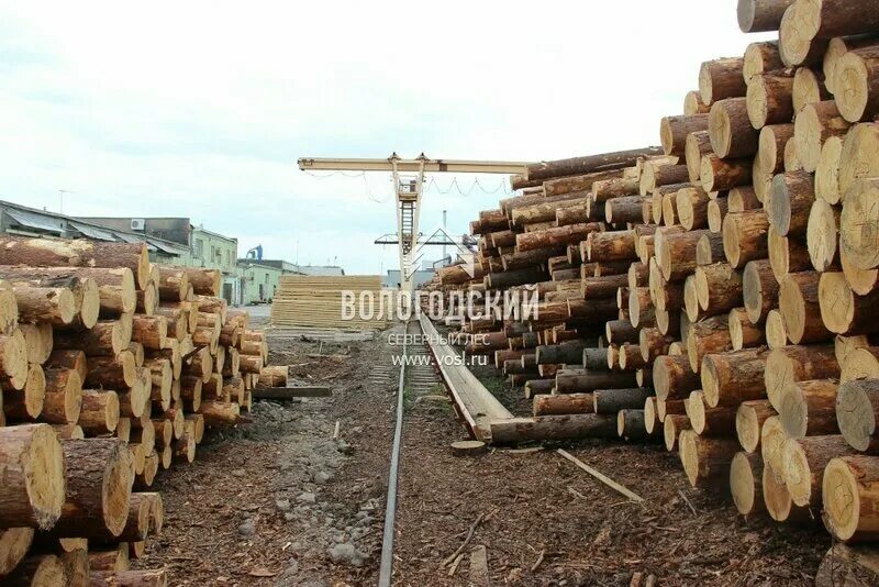 Ооо северный отзывы. ООО Вологодский лес Вологда. Северный лес Кестеньга. Вологодская древесина.