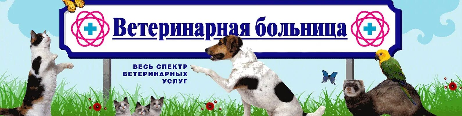 Ветеринарная клиника надпись. Надпись ветеринарная клиника для детей. Вывеска ветклиника для детей. Ветеринарная клиника вывеска. Ветеринарная больница телефон