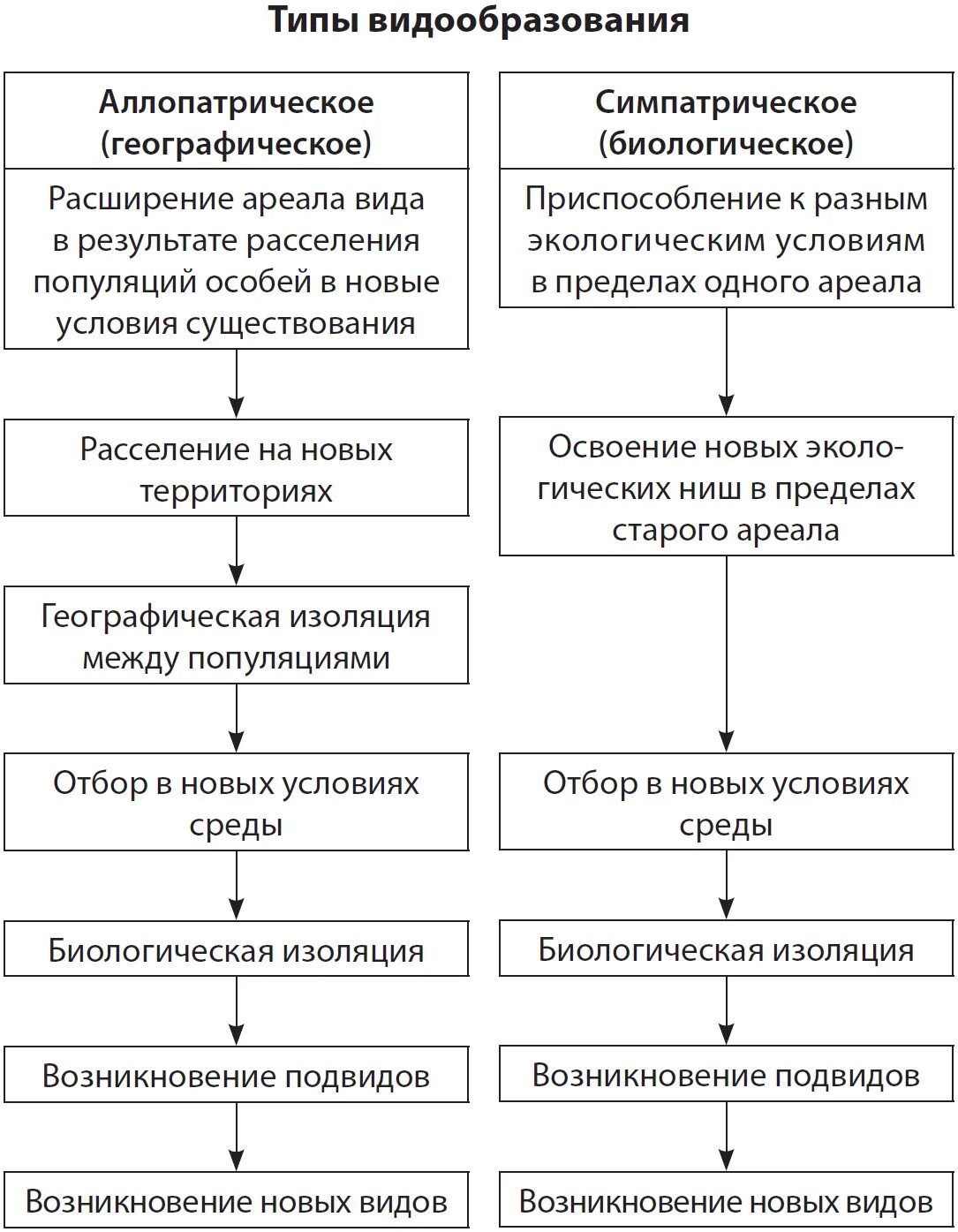 Схема процесса видообразования. Экологическое видообразование характеристика. Таблица по биологии 9 класс видообразование. Схема этапы географического видообразования. Установите последовательность образования новых видов в природе