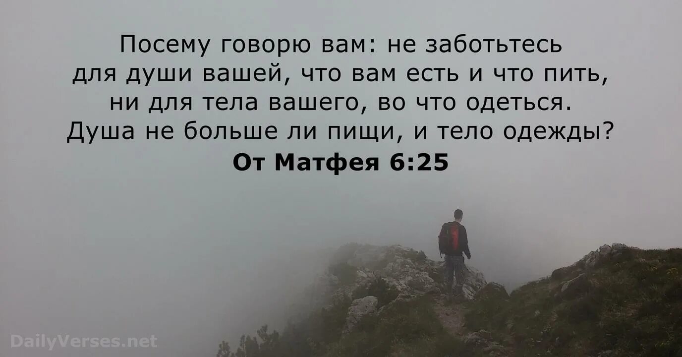 Не заботьтесь что сказать. Посему говорю вам не заботьтесь для души вашей. Матфея 6:6. Матфея 25. Библия Матфея глава 6.